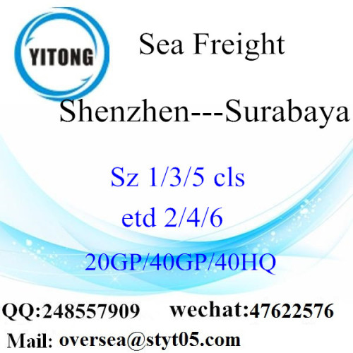 Shenzhen Πλοίο θαλάσσιων μεταφορών εμπορευμάτων στη Surabaya
