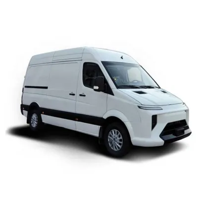 Electric Van Cargo Bus with 2 to 16 Seats: China Factory Sales