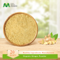 Polvere di zenzero organico puro al 100% | Nessun additivo