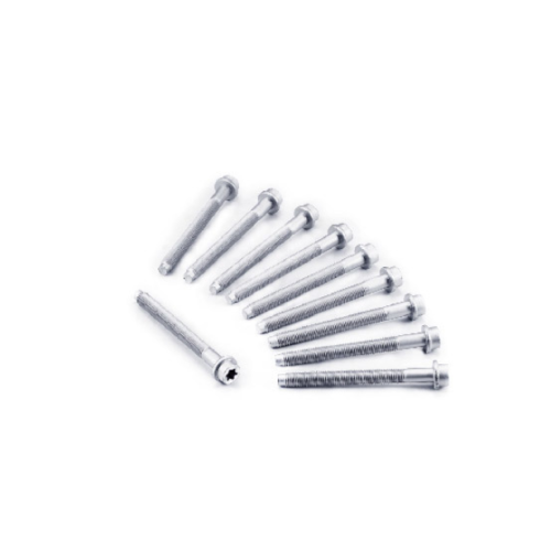 81008000 0204.73 020498 Болт головка цилиндра