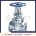 Stainless Steel/Vertical Lift Check Valve