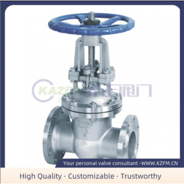 Stainless Steel/Vertical Lift Check Valve