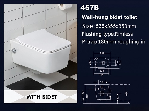 wall hung toilet bidet
