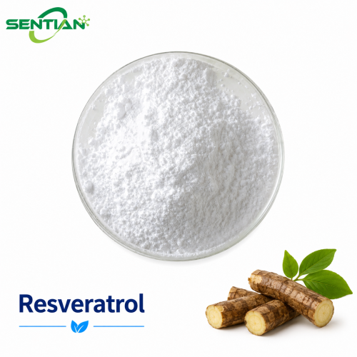 High-Purity Resveratrol Plant Extract for Health Supplements