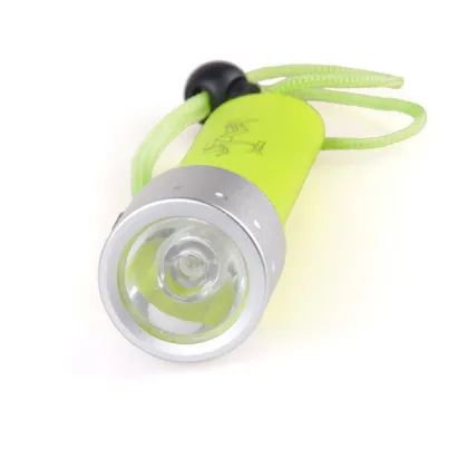 Underwater video dive light