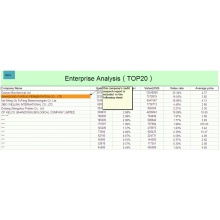 Relatório de análise da empresa principal