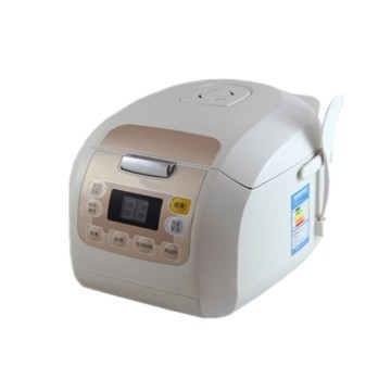Electronic Cooker Mould Design OEM