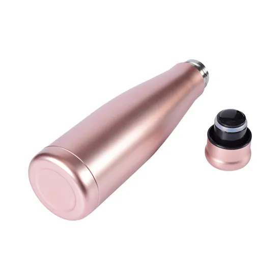 Stainless Steel Cola Type Insulated Water Bottle