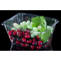 Wholesale Thickened Salad Plastic Tray