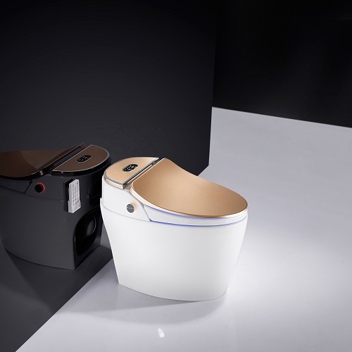 Smart Rimless Wall Mounted Toilets