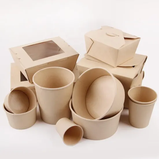 Biodegradable Green Packaging: Compostable Sugarcane Take-Away Box for Eco-Friendly Food Containers