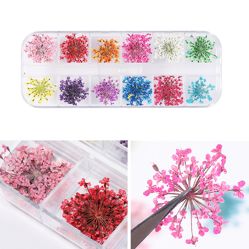 1 Box 3D Dried Flower Nail Decoration Natural Floral Sticker Mixed Dry Flower DIY Nail Art Decals Jewelry UV Gel Polish Manicure