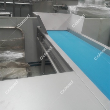 Food grade working conveyor for vegetable and fruit