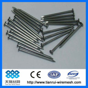 Black steel concrete nails