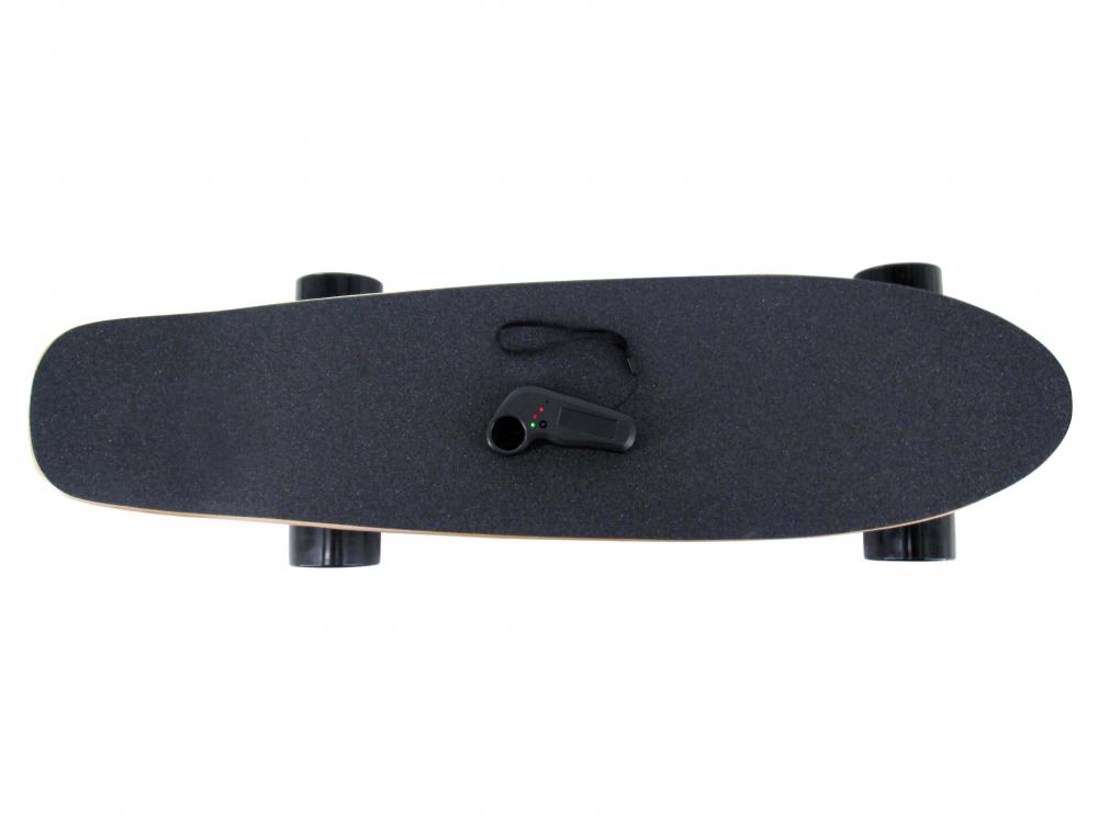 Remote Fish Electric Skateboard 