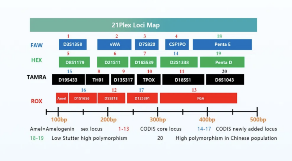 21 Plex Str Detection Kit