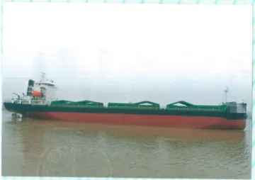 11035 DWT bulk carrier ship build in 2021