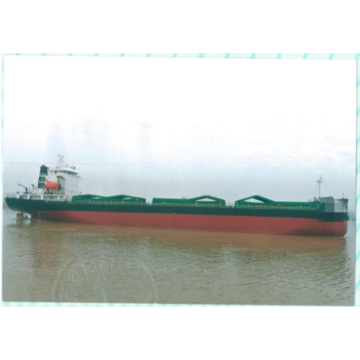 11035 DWT bulk carrier ship build in 2021