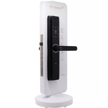DouWin Airbnb Screen Smart Mobile App Digital Fingerprint Wifi Remote Control Hotel Lock