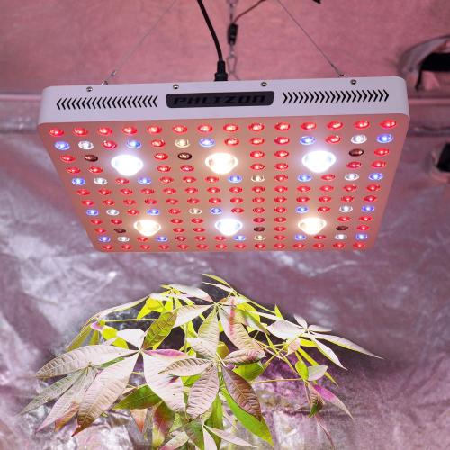 Merry Christmas gift grow light with grow tent