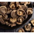 Champignons shiitake séchés par la nature