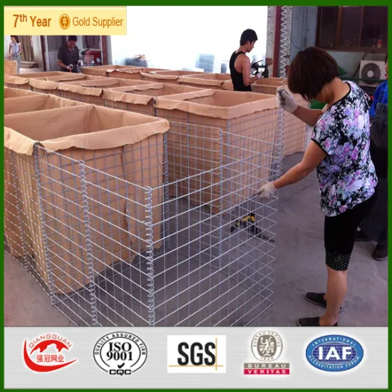 Hot sale!High quality galvanized Hesco Bastion for military protection