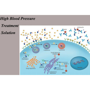 High Blood Pressure Treatment System