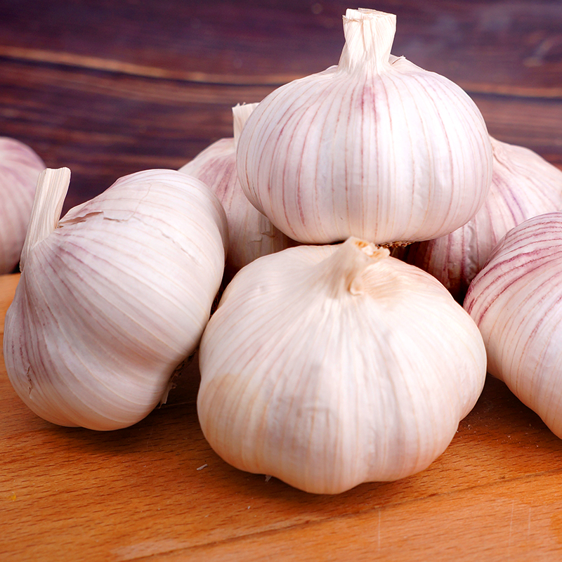 garlic
