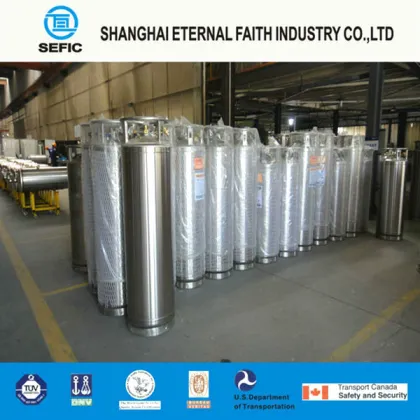 Low Pressure Cryogenic Liquid Oxygen Dewar