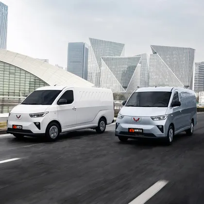 2024 SAIC-GM-Wuling Yangguang Adult Cheap 4 Wheel Electric Vehicle for Sale