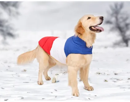 dog jacket large breed canada