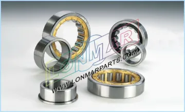 00 CYLINDRICAL ROLLER BEARING