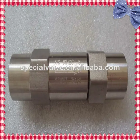 stainless steel female thread check valves
