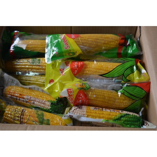 Alta massa di mais giallo naturale in vendita