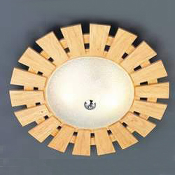 Modern Ceiling Lamp C0005/2