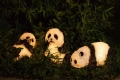 Aydınlık panda şeklindeki lamba