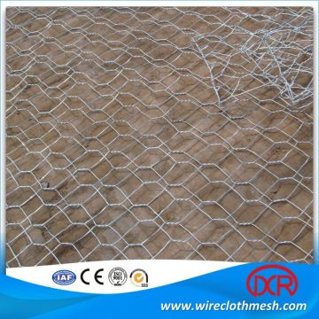 Galvanized 1/2 Inch Galvanized Hexagonal Wire Netting