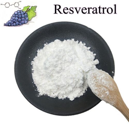 Tgy Versorgung 98% Resveratrol -Pulver mit OEM -Service