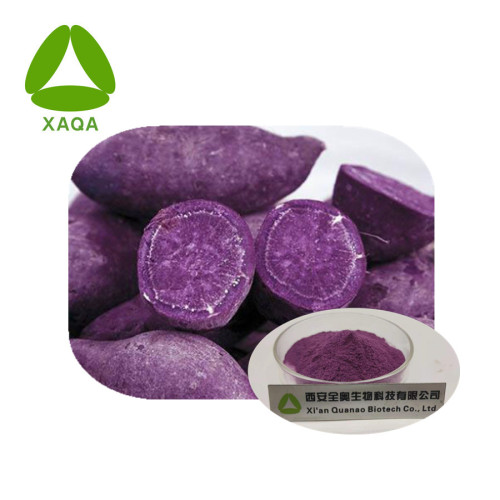 Extrait de pomme de terre violet anthocyanine 25% de poudre