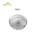 NAD+ Powder Bulk Nicotinamide Adenine Dinucleotide