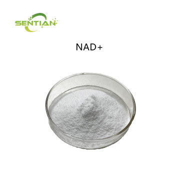 NAD+ Powder Bulk Nicotinamide Adenine Dinucleotide