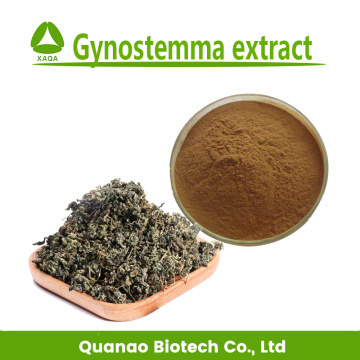 Gynostemma Pentaphyllum Leaf Extract Gypenoside 98% Powder