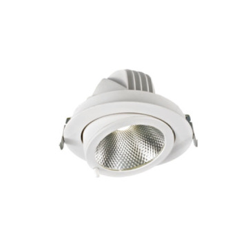 LEDER Infälld aluminium 48W LED Downlight