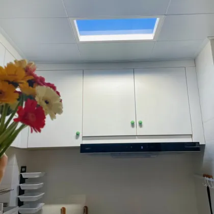 Artificial Sunlight LED Skylight Panel