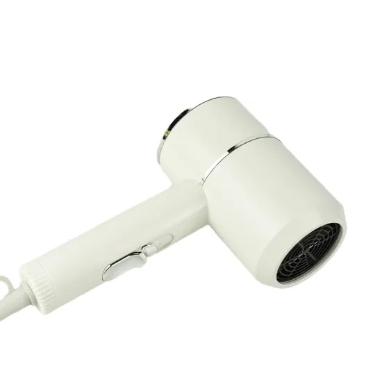 Cross-Border Household Hair Dryers: Small Power and Portable Solutions