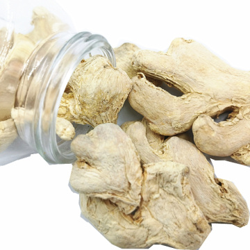 High Quality of Dried Ginger with Best Price