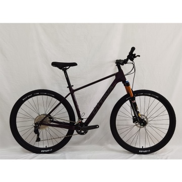 29er Carbon Fiber Mountain Bike