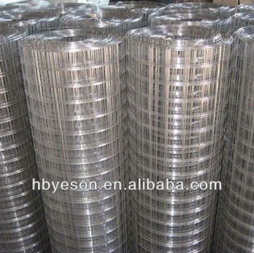 cheaper galvanized welded wie mesh