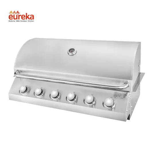 Made In China Stainless Steel 6 Burner Barbecue Gas Portable Grills Outdoor