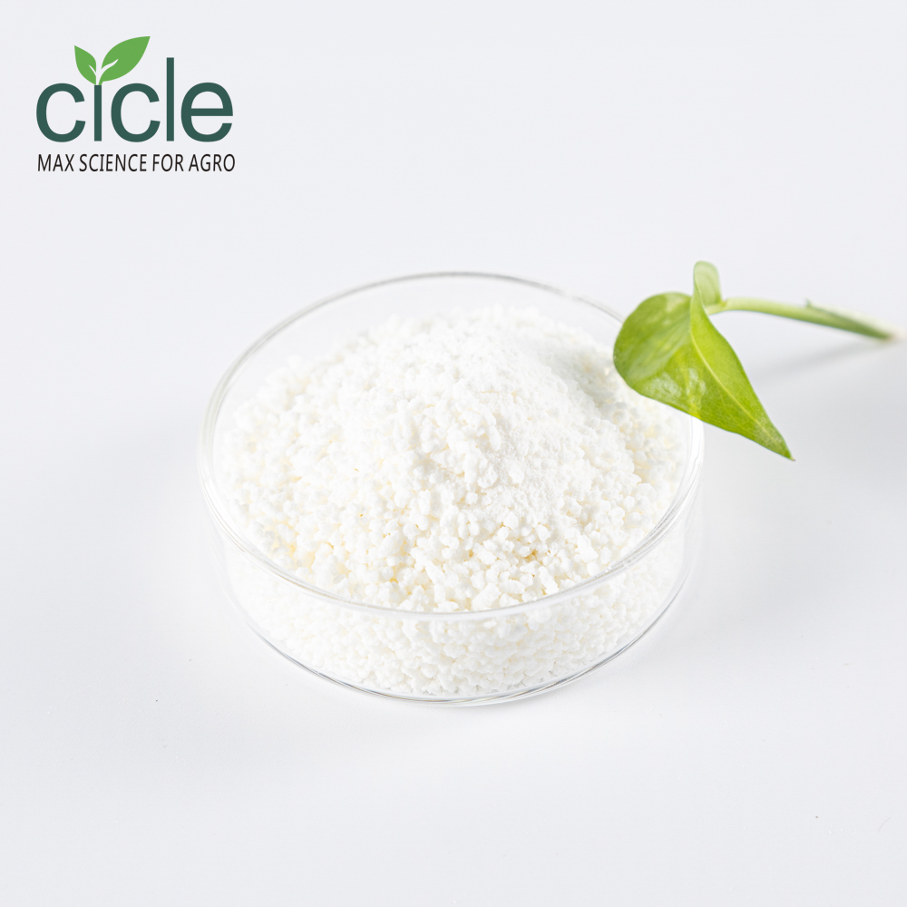 gibberellic acid 40% SG